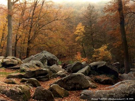 foret